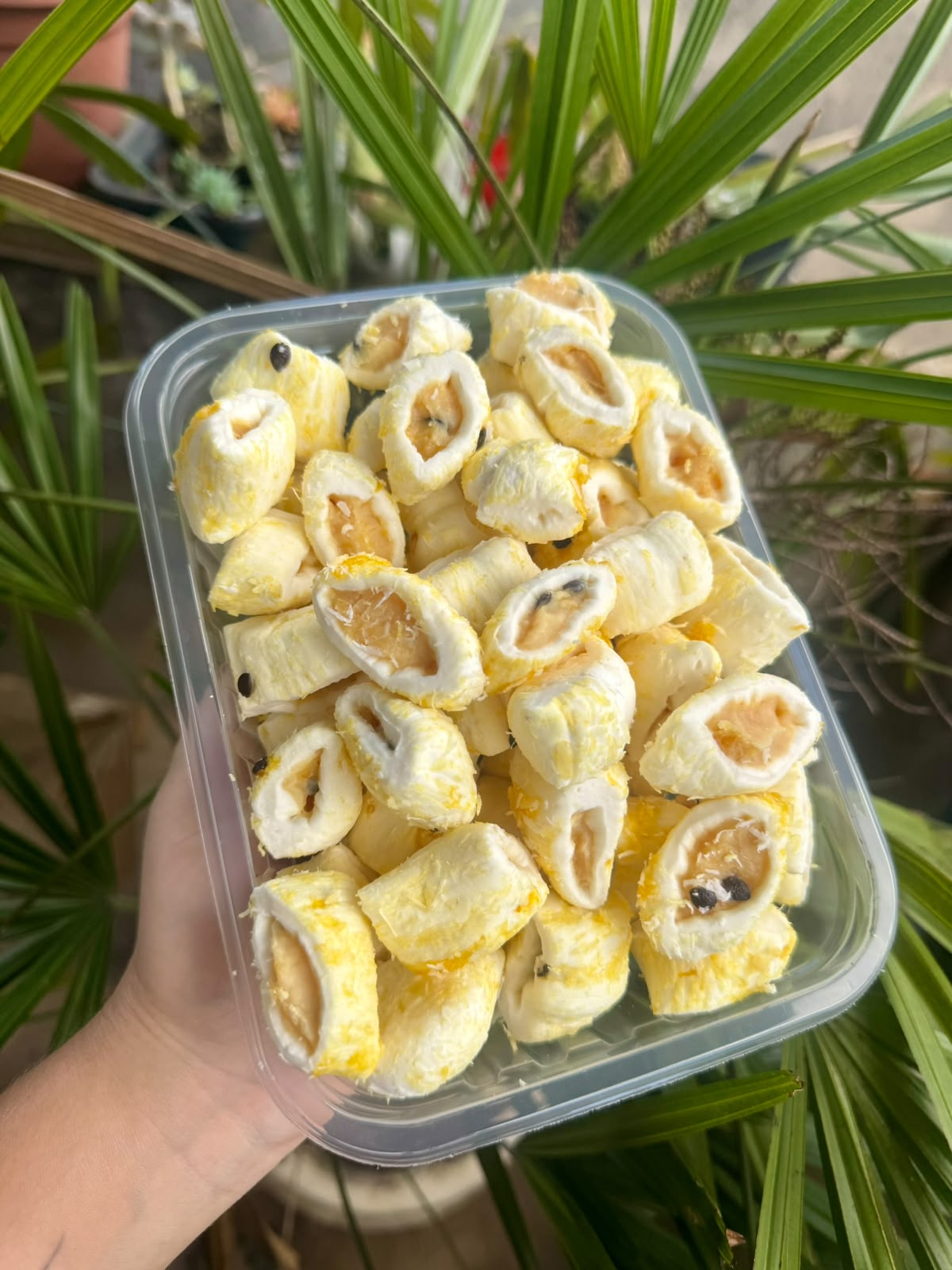 Pote de balinhas de coco — 500g (1 sabor por pote)
